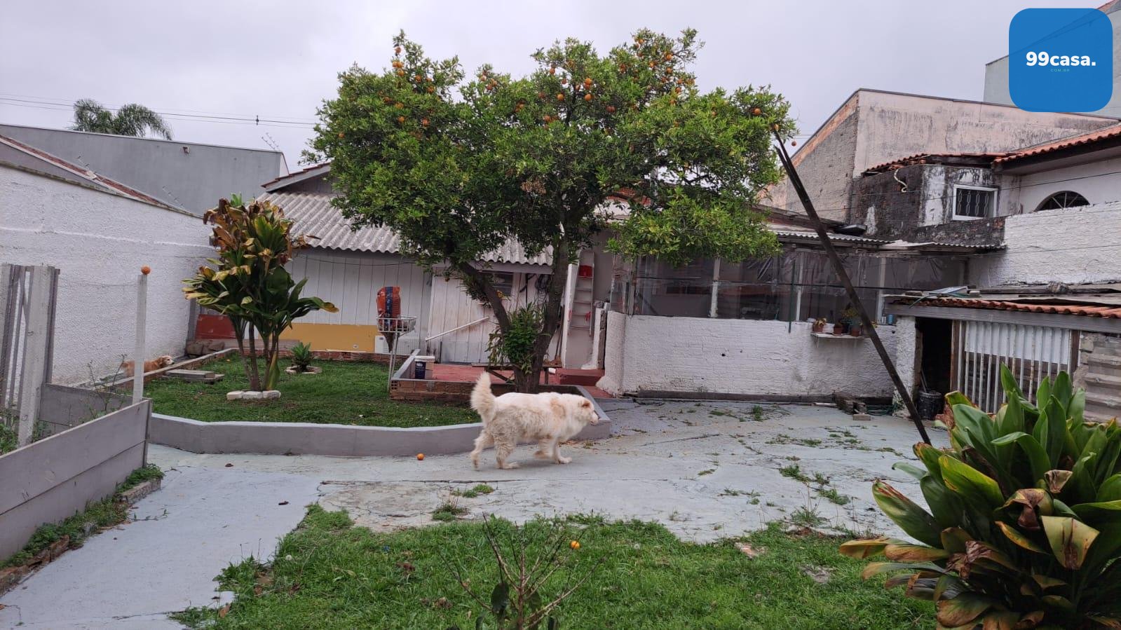 Terreno ZR-4 com 456 m  e excelente testada à venda no Santa C...