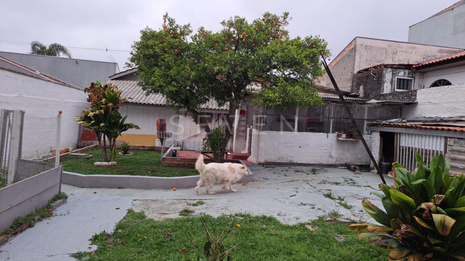 Terreno ZR-4 com 456 m  e excelente testada à venda no Santa C...