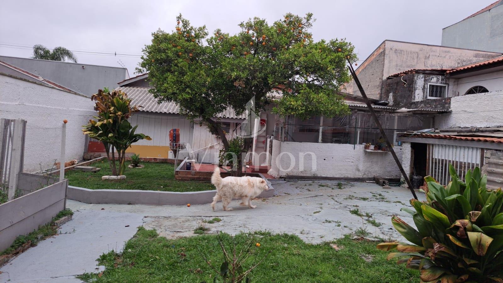 Terreno ZR-4 com 456 m  e excelente testada à venda no Santa C...