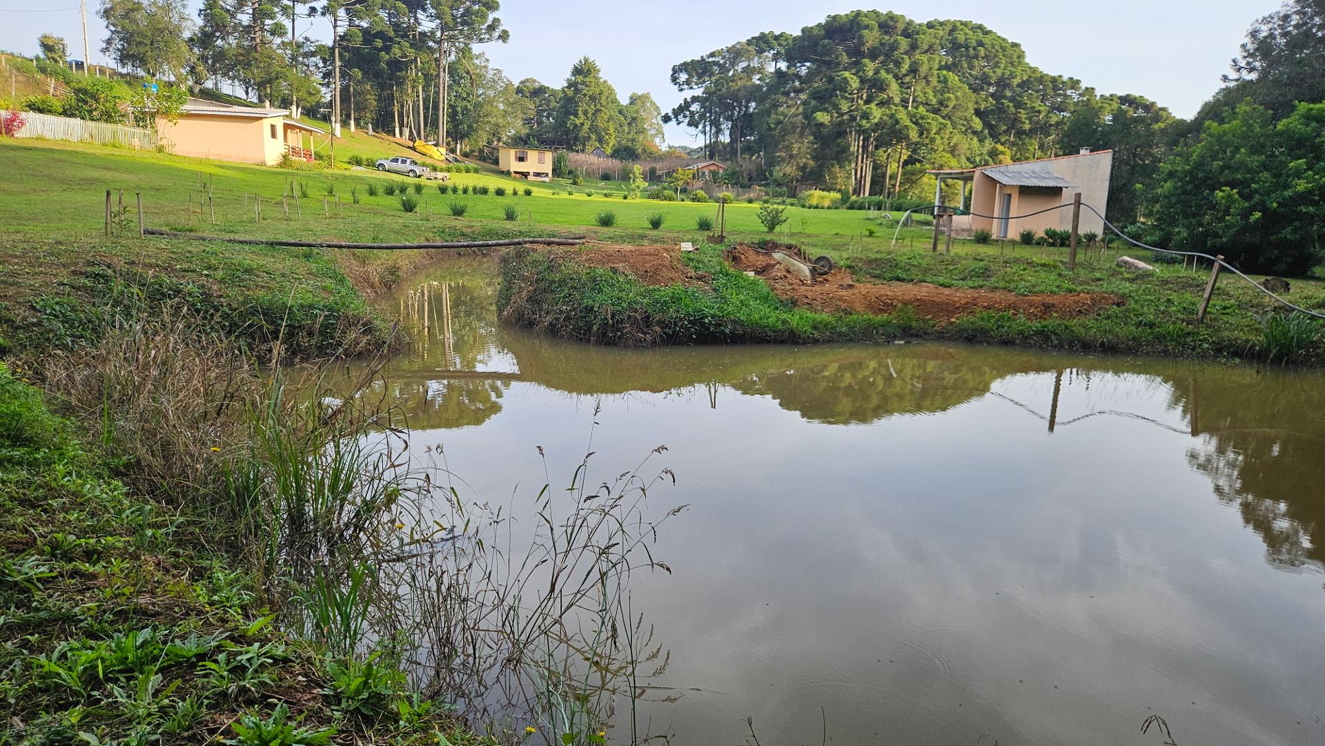 Chácara paradisíaca em Araucária  20.000m  com casa, quiosque ...