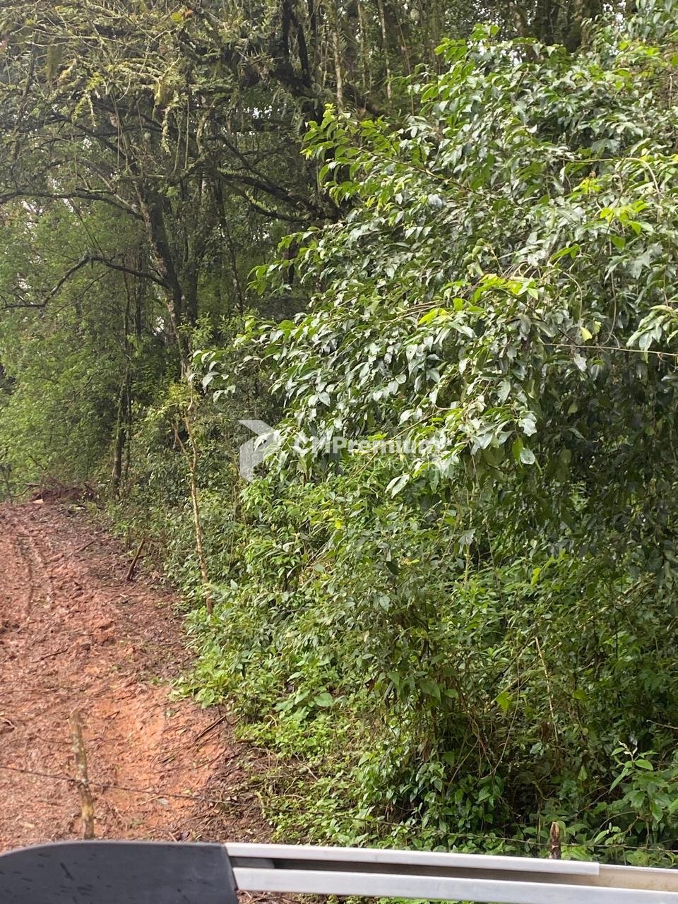 Terreno 20.000 m  no Umbará  Oportunidade Única para Investir ...