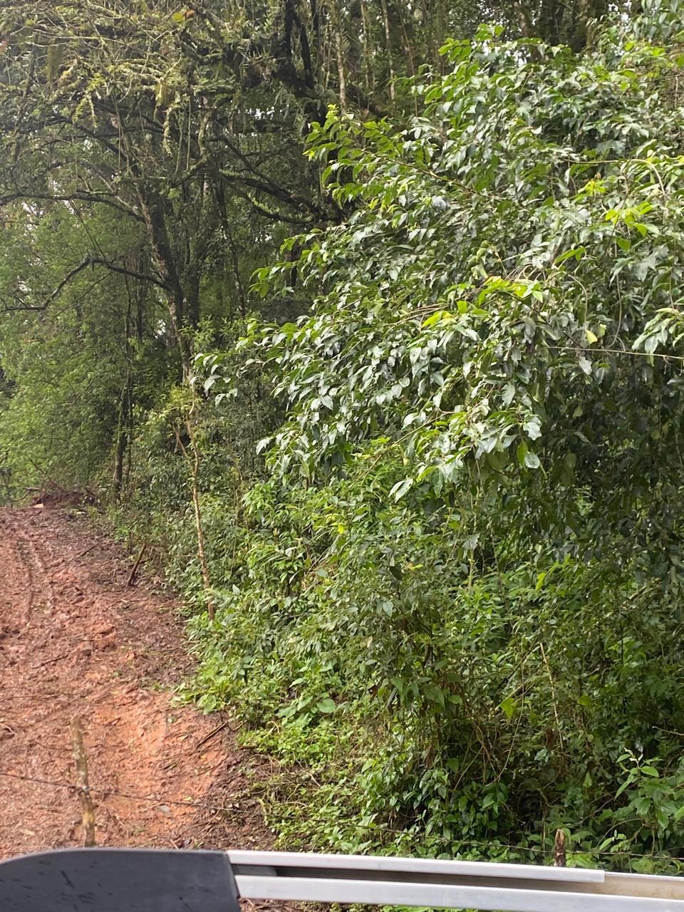 Terreno 20.000 m  no Umbará  Oportunidade Única para Investir ...