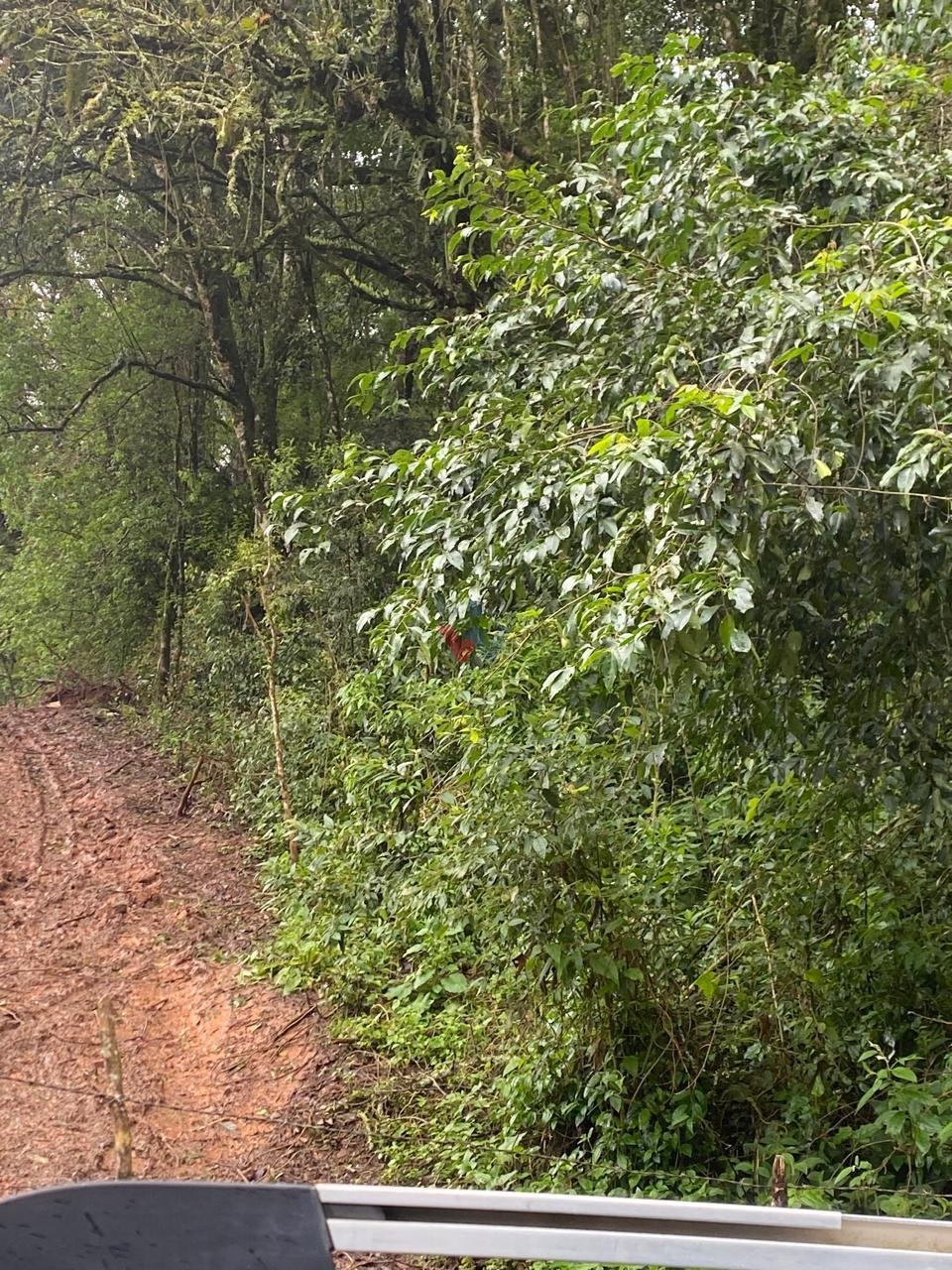 Terreno 20.000 m  no Umbará  Oportunidade Única para Investir ...