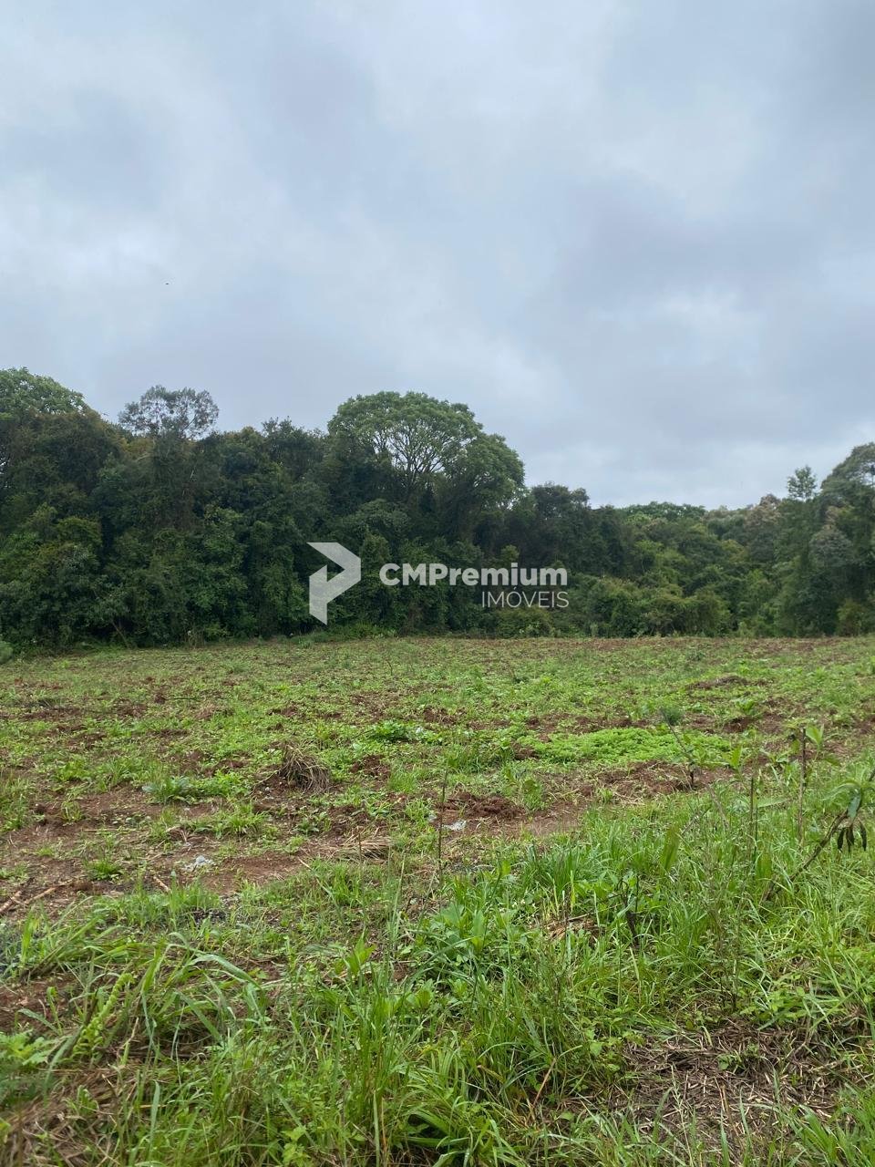 Terreno 20.000 m  no Umbará  Oportunidade Única para Investir ...