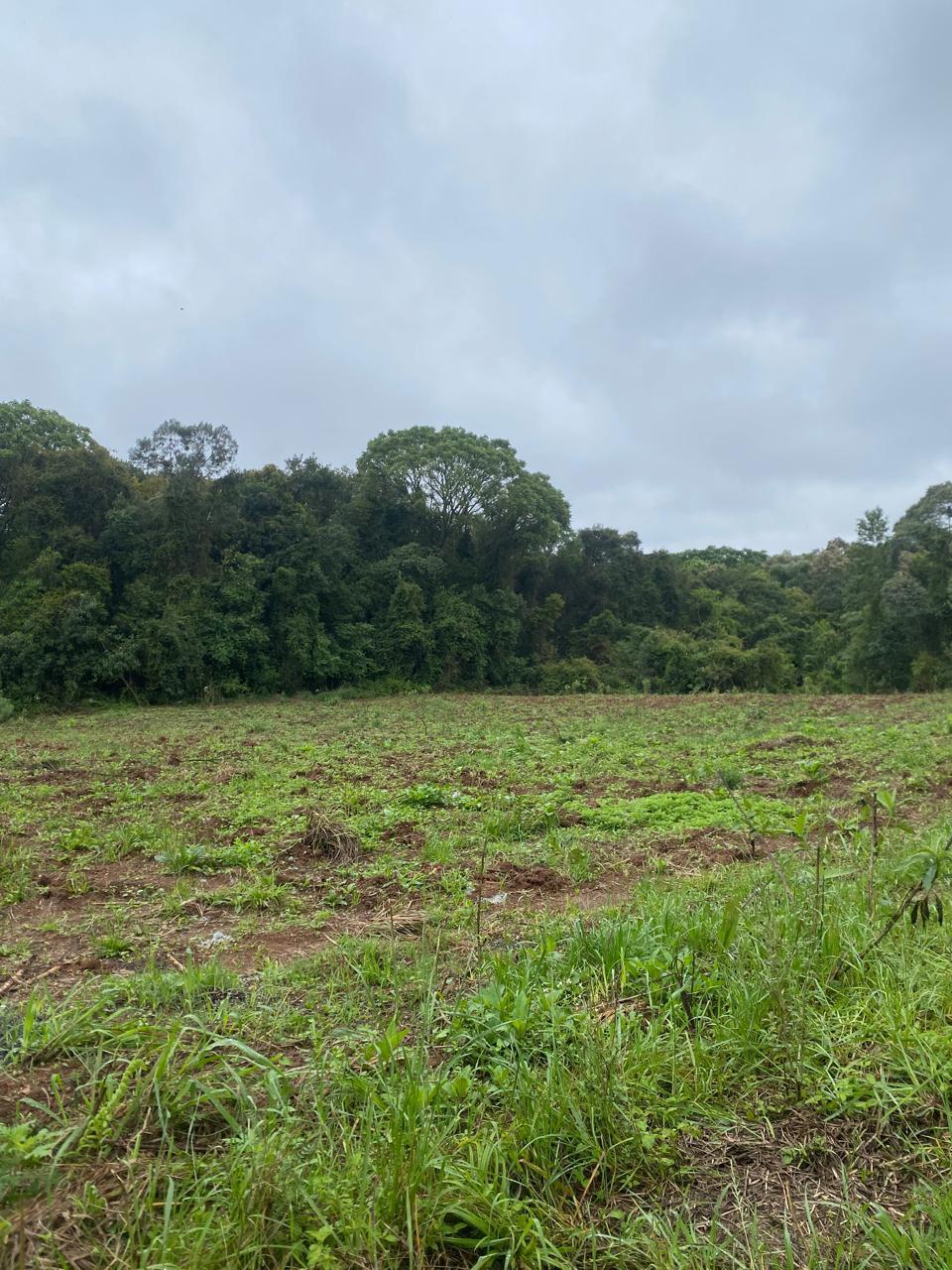 Terreno 20.000 m  no Umbará  Oportunidade Única para Investir ...