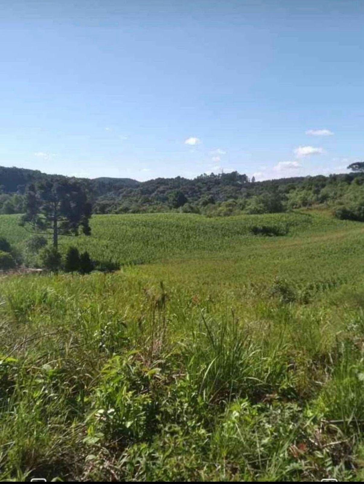 Terreno para Chácara em Mandirituba  6.050 m  Próximo à BR-116