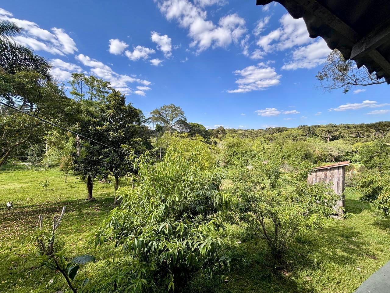Chácara à Venda em Contenda PR com Piscina, Tanque de Peixes e...