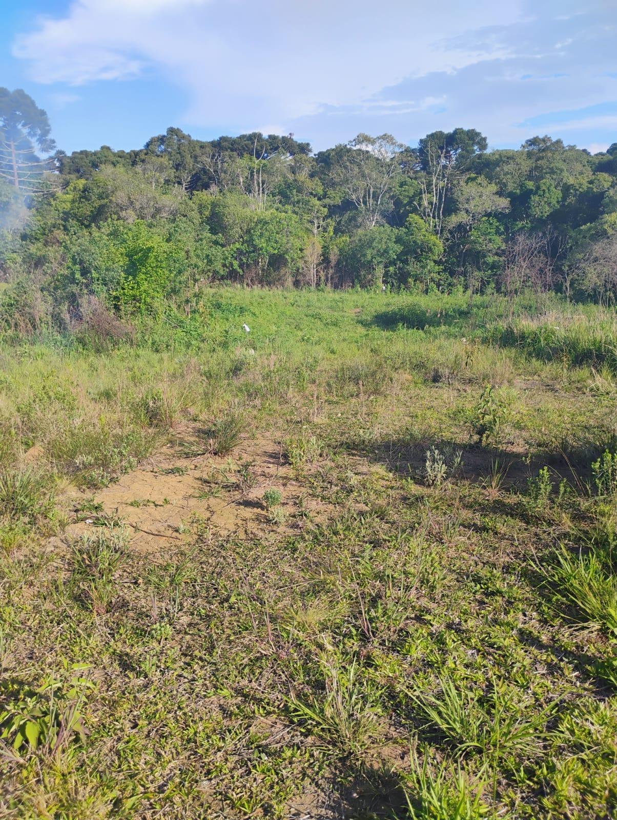 Terreno à venda em Quitandinha com 420,54 m  em Campina dos Pr...