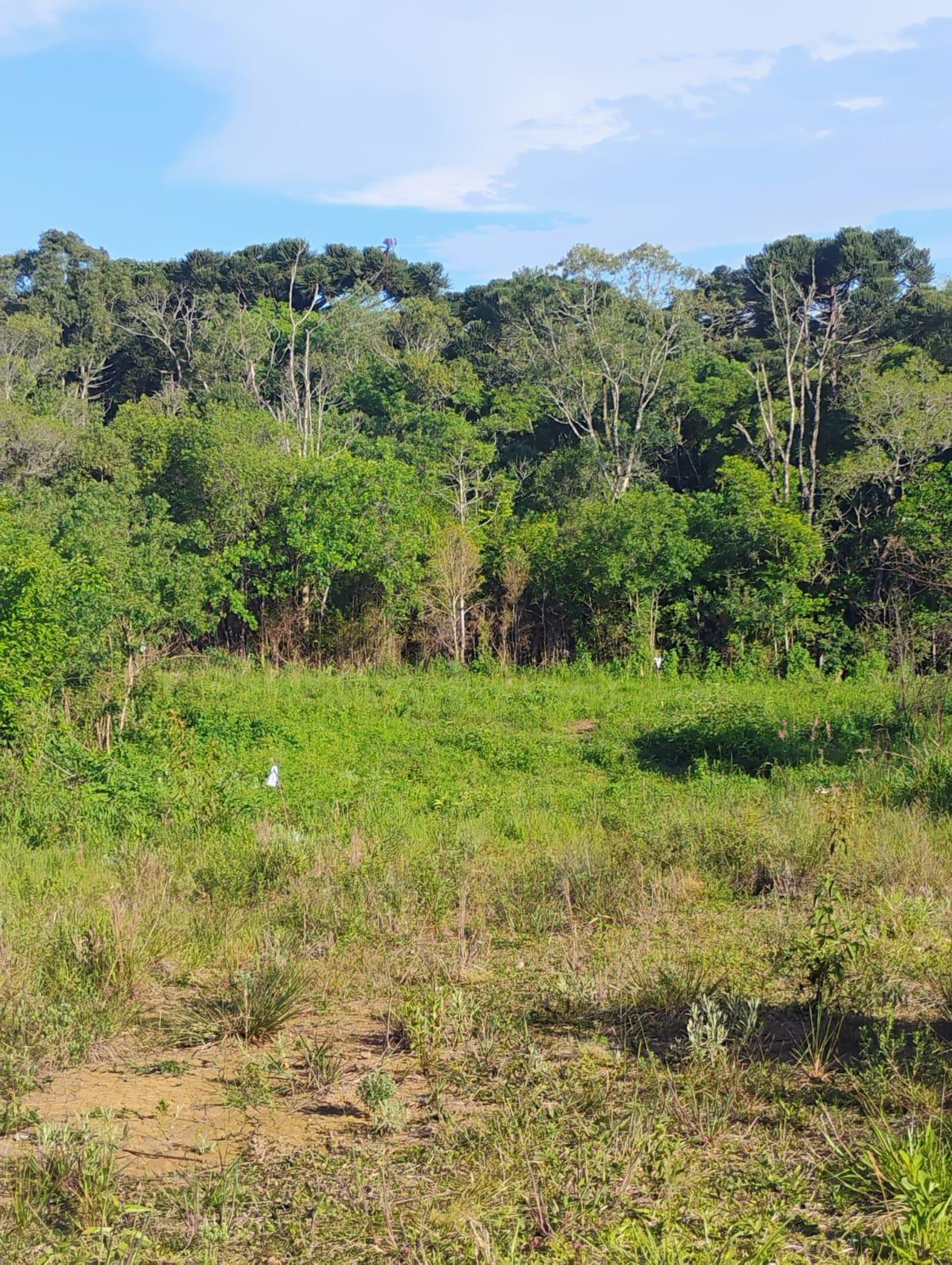 Terreno à venda em Quitandinha com 420,54 m  em Campina dos Pr...