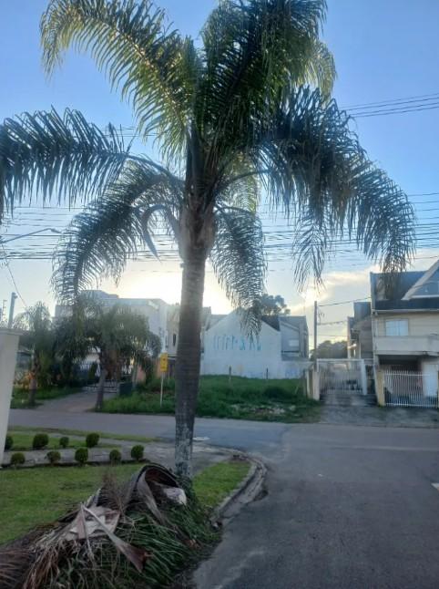 Terreno ZR2 à Venda em Santa Felicidade  Região Nobre e Alto P...