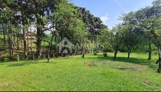 Sítio com 6 dormitórios à venda,144.000,00 m2, palmitalzinho, ...