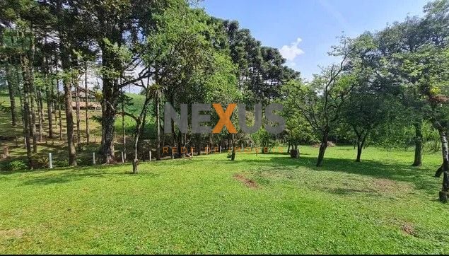Sítio com 6 dormitórios à venda,144.000,00 m2, palmitalzinho, ...