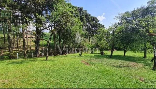 Sítio com 6 dormitórios à venda,144.000,00 m2, palmitalzinho, ...