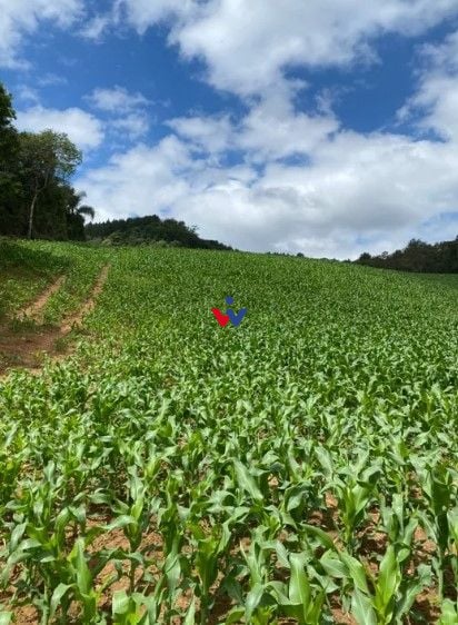 Chácara à venda, 94682 m  por R  1.350.000,00 - Zona Rural - T...