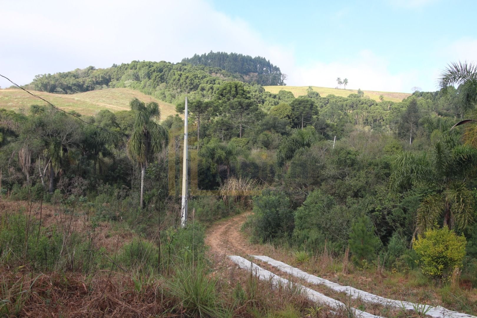 Chácara com Casa, Água Mineral e Amplo Pátio  Quitandinha Lapa