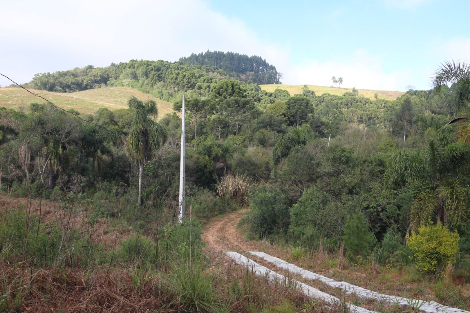 Chácara com Casa, Água Mineral e Amplo Pátio  Quitandinha Lapa