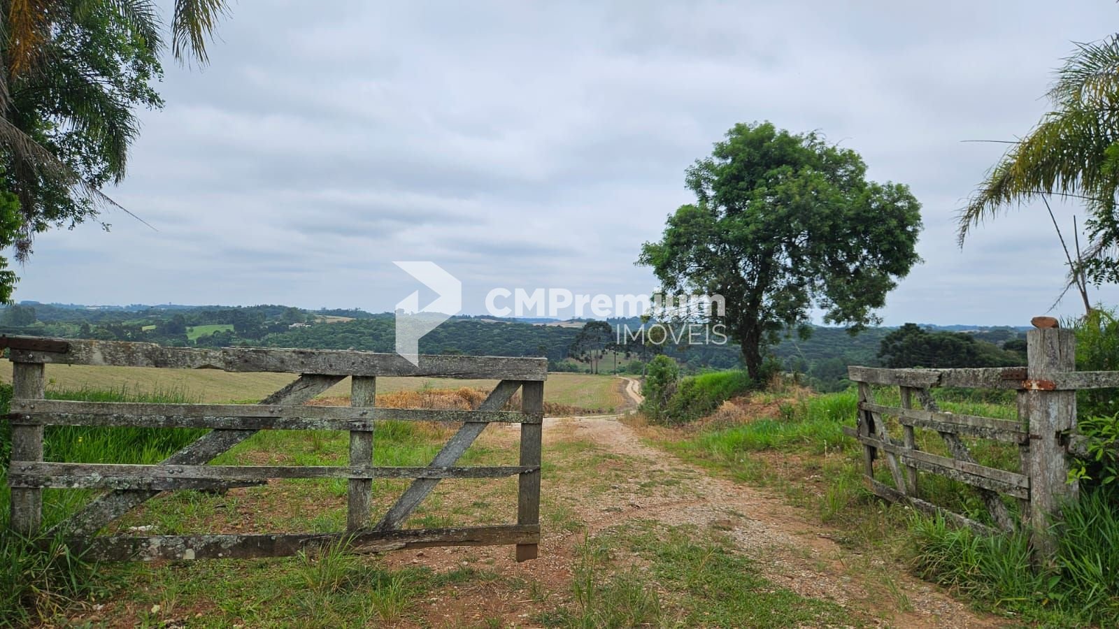 Sítio à venda,847000.00 m , zona rural, CONTENDA - PR