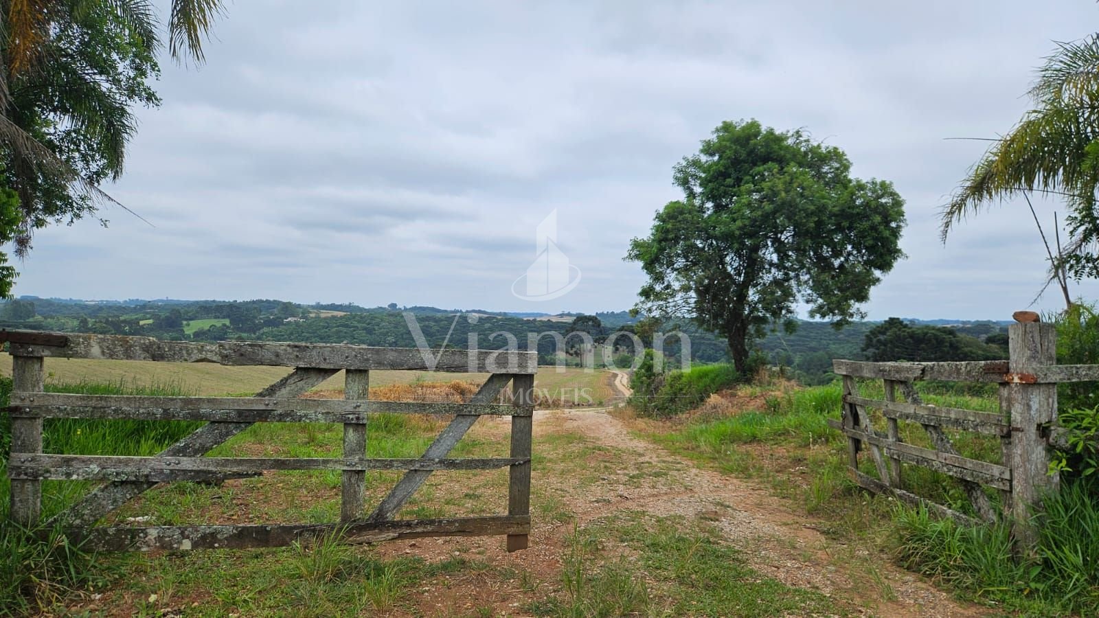 Sítio à venda,847000.00 m , zona rural, CONTENDA - PR