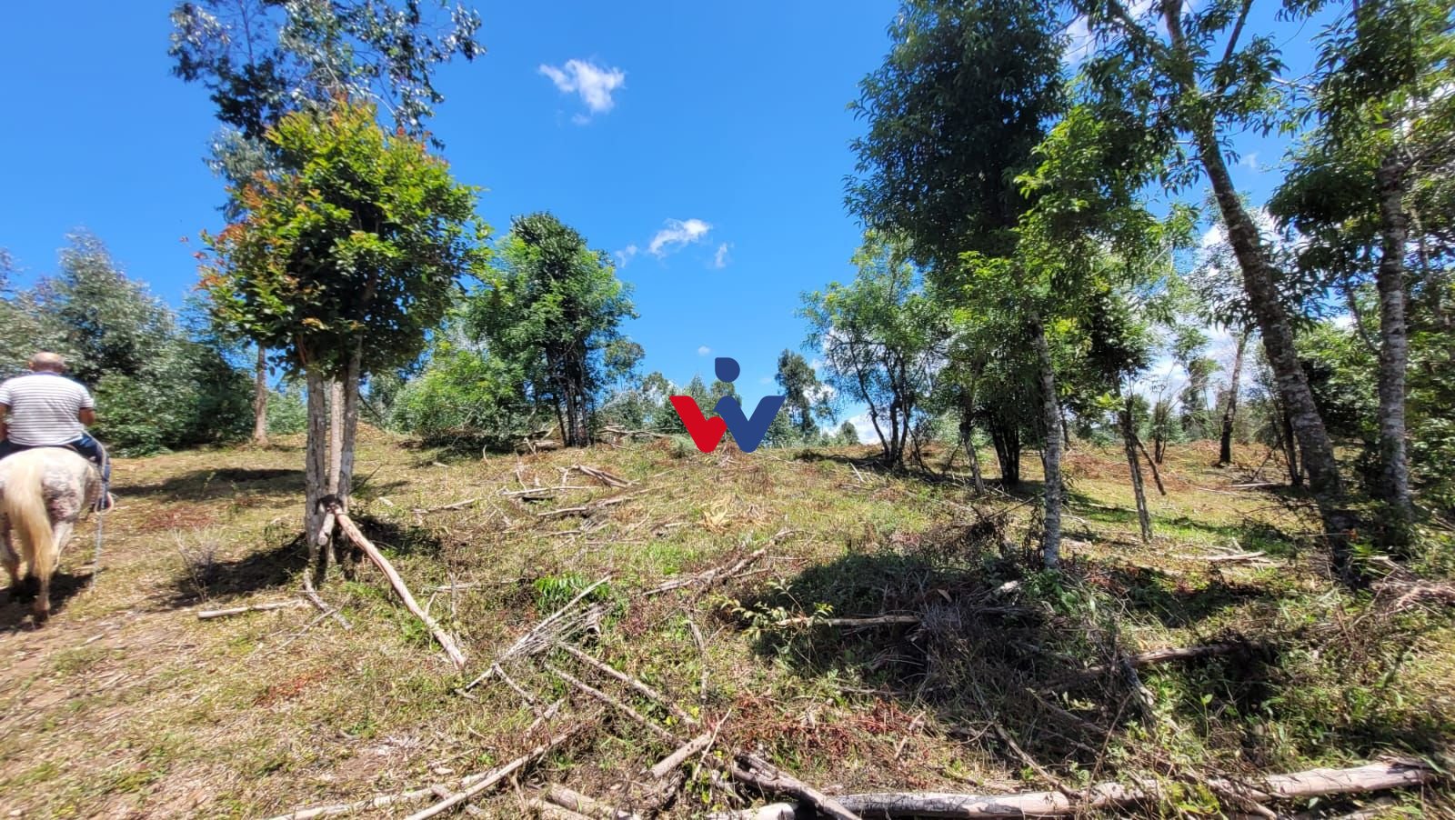 Chácara à venda,63000.00 m , imbuial, CAMPINA GRANDE DO SUL - PR