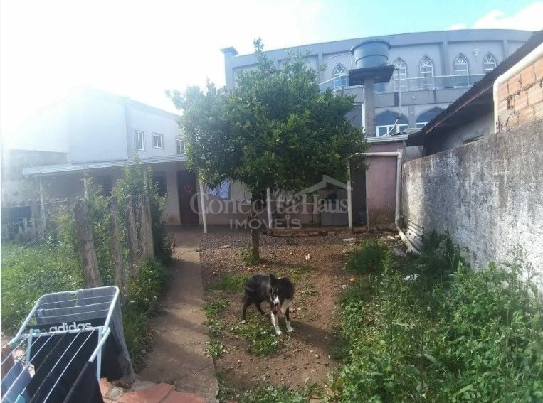Casa com 3 dormitórios à venda, 180 m  por R  550.000,00 - Par...
