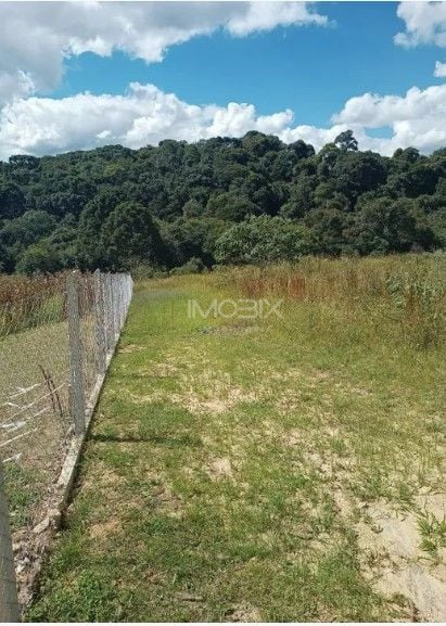 Terreno à venda, 10500 m  por R  320.000,00 - Centro - Contend...