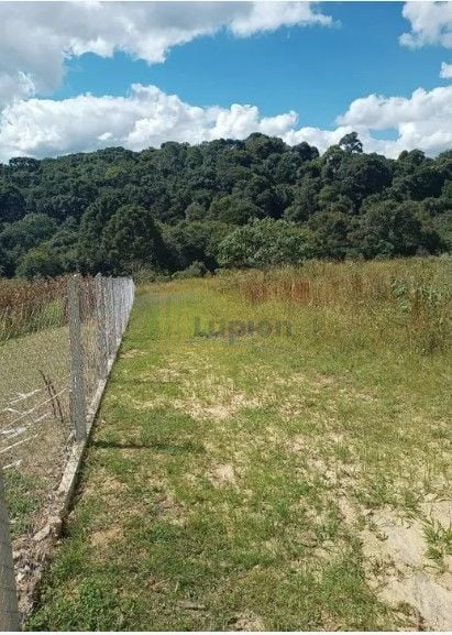 Terreno à venda, 10500 m  por R  320.000,00 - Centro - Contend...