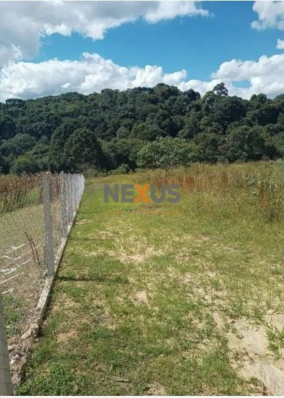 Terreno à venda, 10500 m  por R  320.000,00 - Centro - Contend...