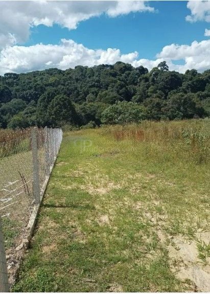 Terreno à venda, 10500 m  por R  320.000,00 - Centro - Contend...