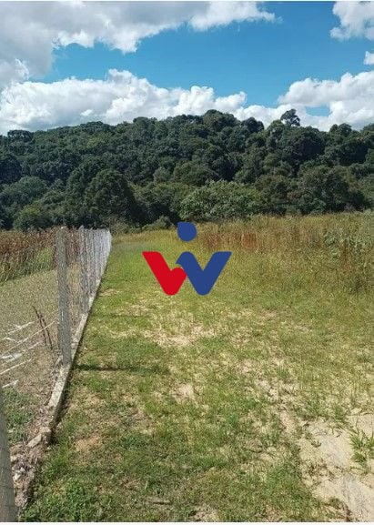 Terreno à venda, 10500 m  por R  320.000,00 - Centro - Contend...
