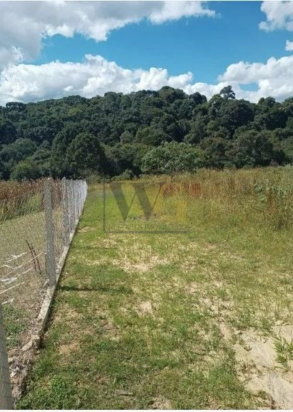 Terreno à venda, 10500 m  por R  320.000,00 - Centro - Contend...