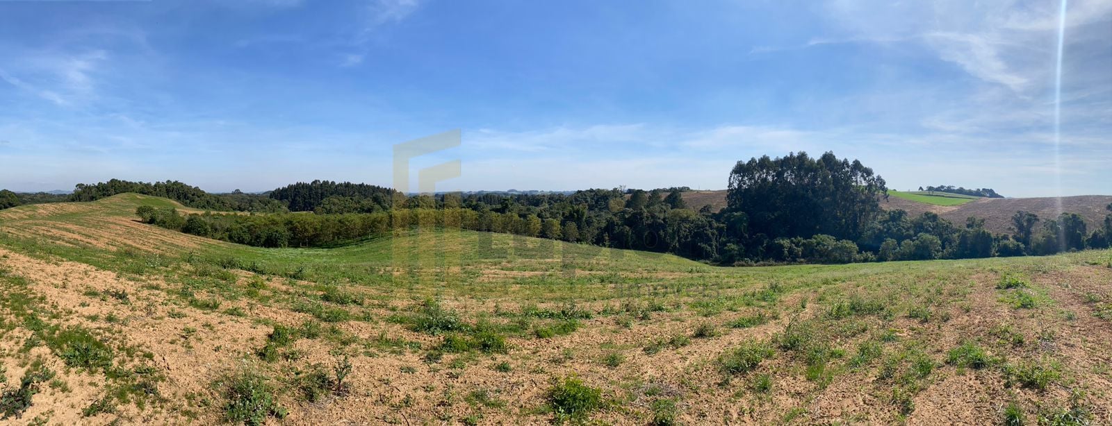 Propriedade Sustentável de 2 Alqueires com Noz Pecan, Araucári...