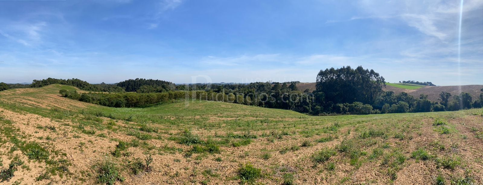 Propriedade Sustentável de 2 Alqueires com Noz Pecan, Araucári...