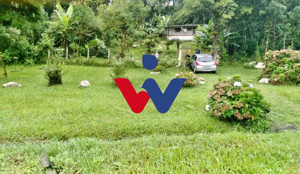 Chácara com 1 dormitório à venda,915.67 m , SAO JOSE DOS PINHA...