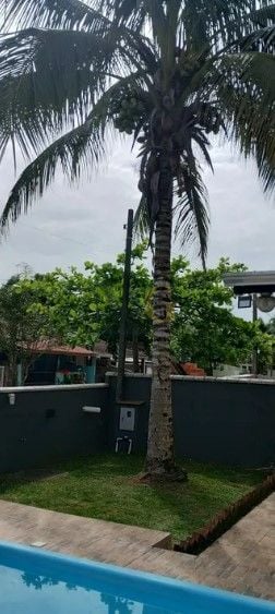 Casa com 3 dormitórios à venda, 60 m  por R  380.000,00 - Prim...