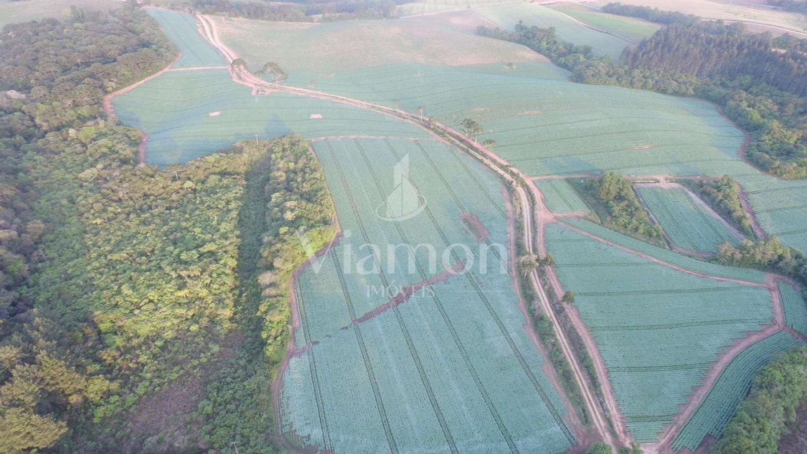 Sítio à venda,847000.00 m , zona rural, CONTENDA - PR