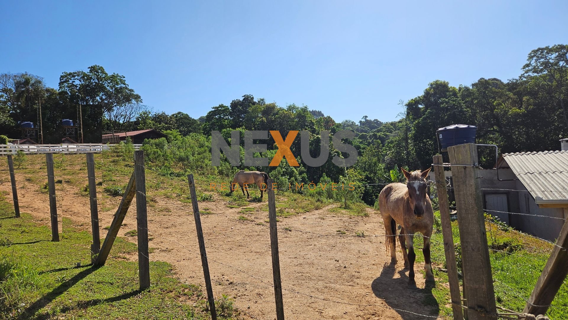 Chácara à venda, 4361 m  por R  250.000,00 - Zona Rural - Cont...