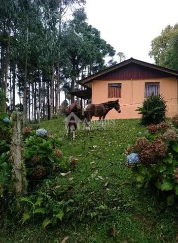 Sítio com 6 dormitórios à venda,144.000,00 m2, palmitalzinho, ...