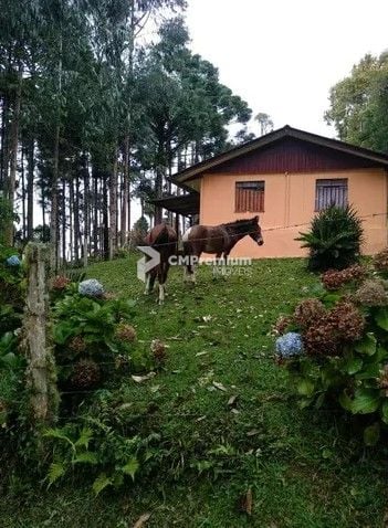 Sítio com 6 dormitórios à venda,144.000,00 m2, palmitalzinho, ...