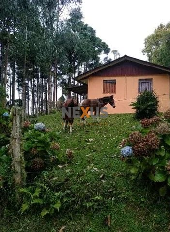 Sítio com 6 dormitórios à venda,144.000,00 m2, palmitalzinho, ...