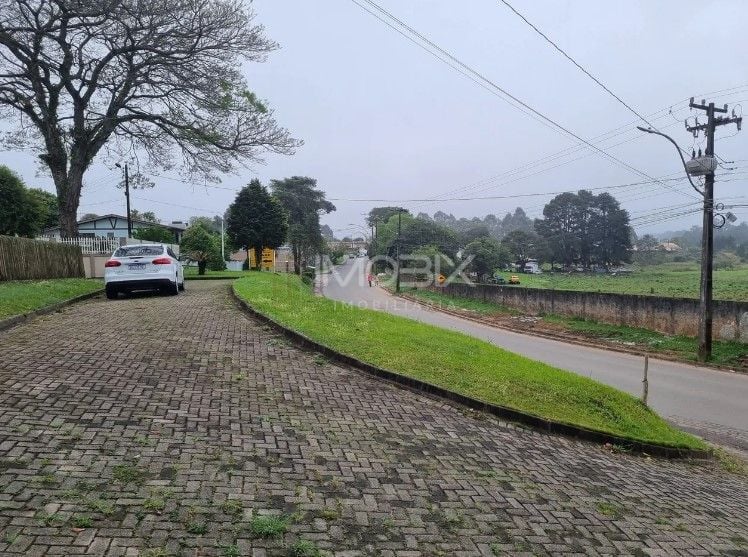 Área à venda, 49000 m  por R  7.900.000,00 - Centro - Piraquar...