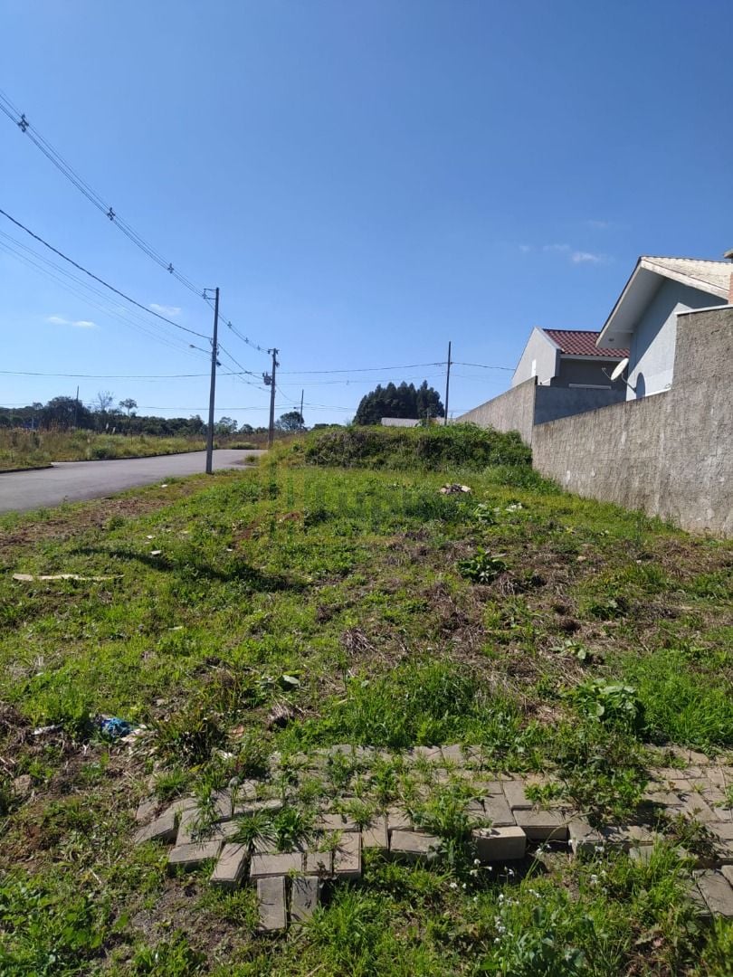 Terreno 180m  à venda em área alta com fácil acesso a Curitiba...