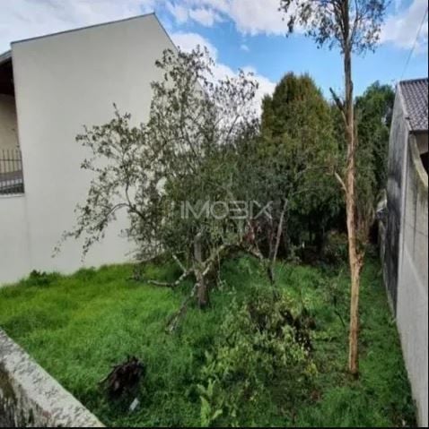 Terreno à venda, 837 m  por R  850.000,00 - Tingui - Curitiba PR