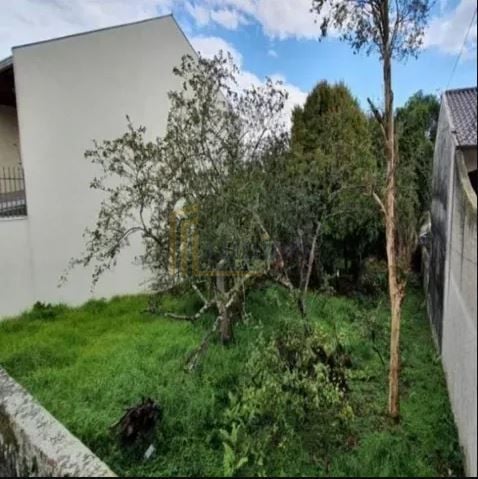 Terreno à venda, 837 m  por R  850.000,00 - Tingui - Curitiba PR