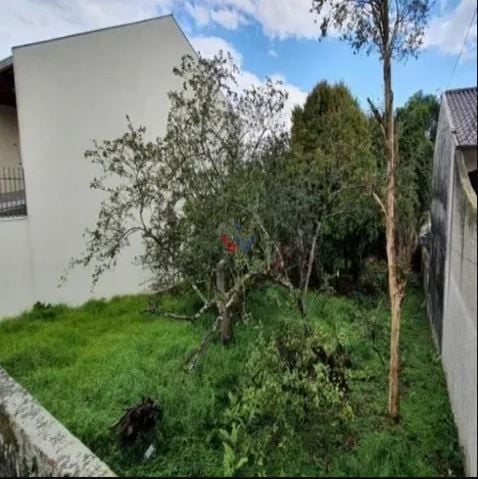 Terreno à venda, 837 m  por R  850.000,00 - Tingui - Curitiba PR