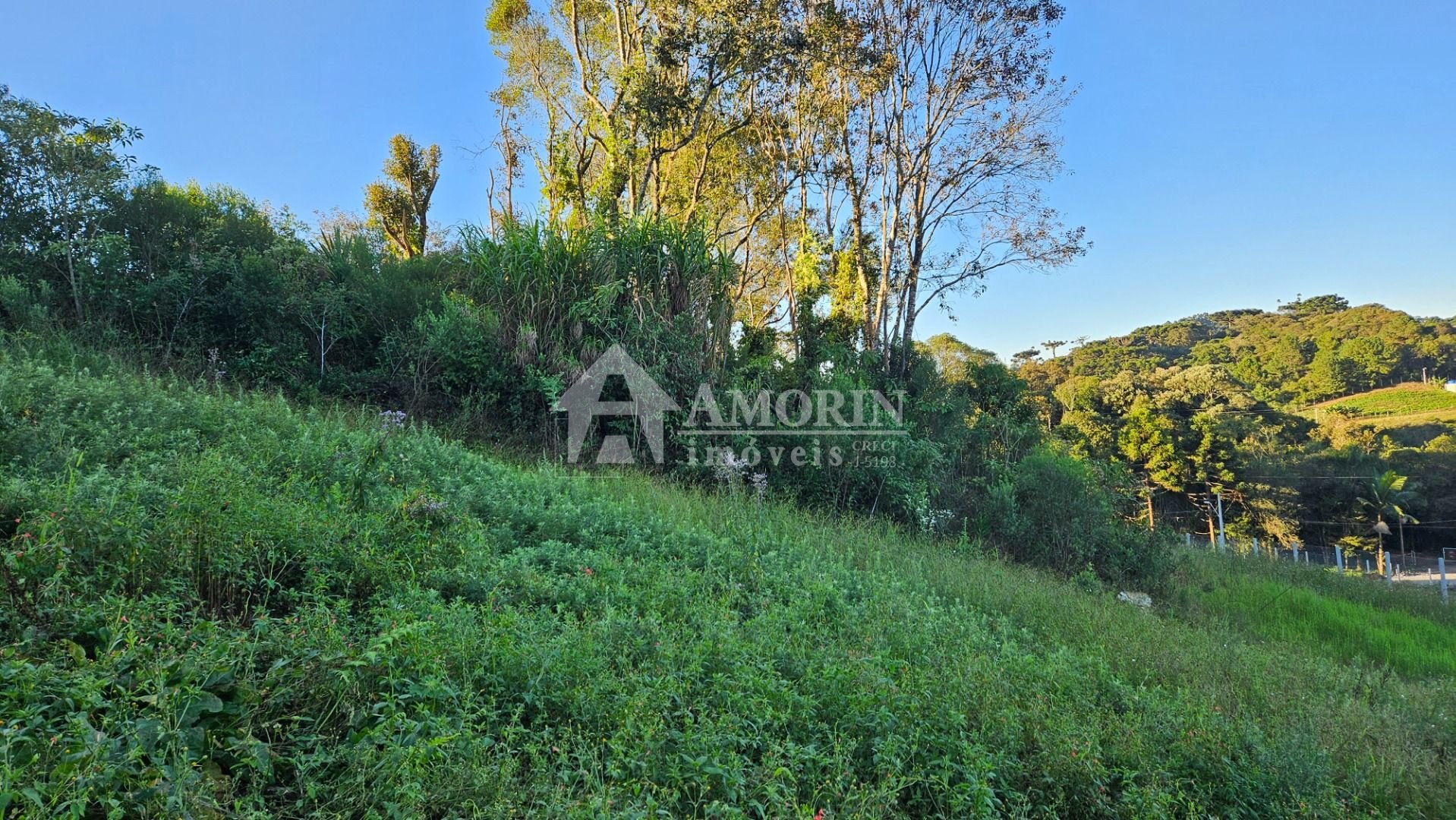 Chácara 10.500m  em Araucária com bosque, área de plantio e vi...