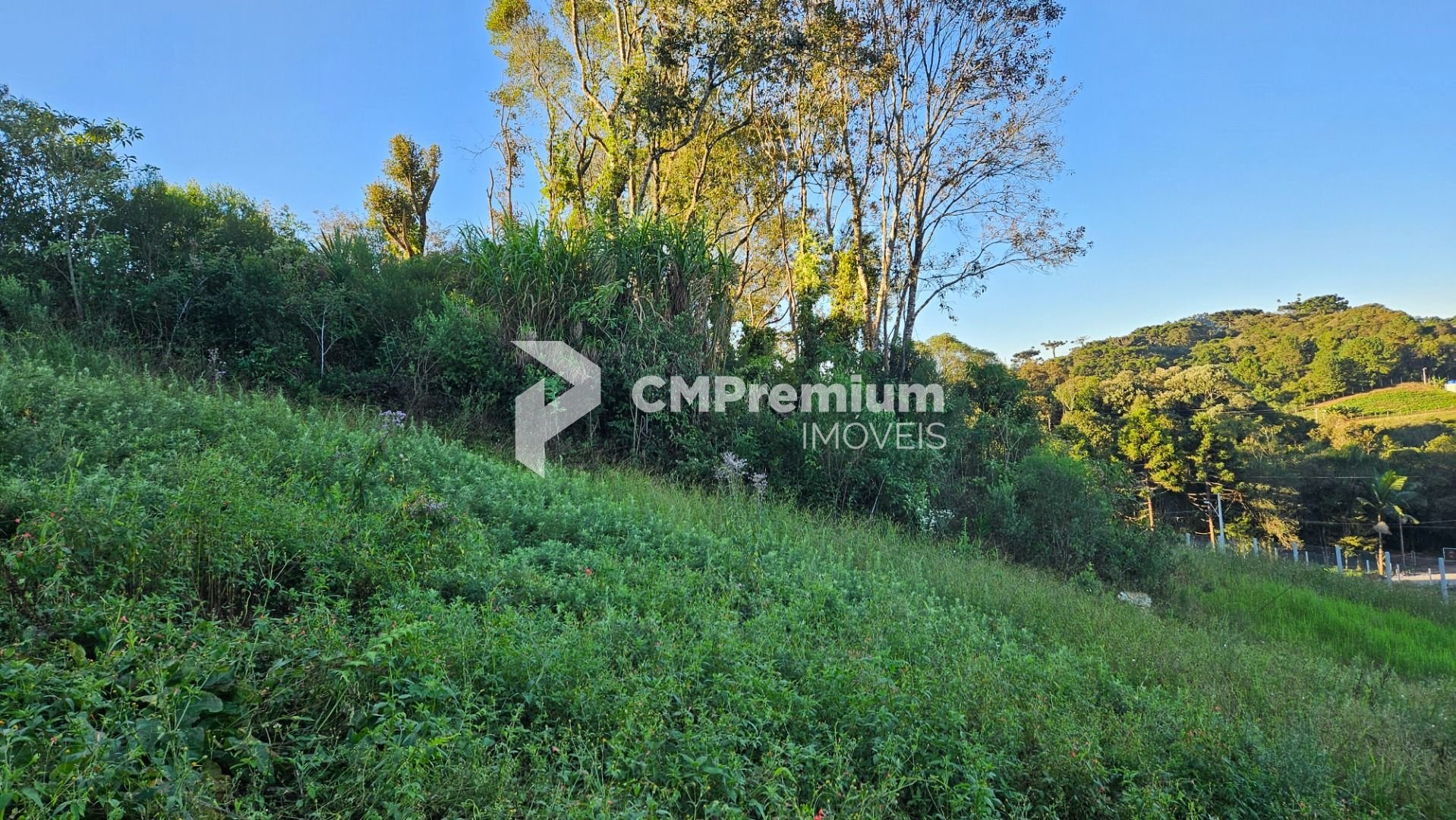 Chácara à venda, 10975 m  frente para o asfalto por R  450.000...