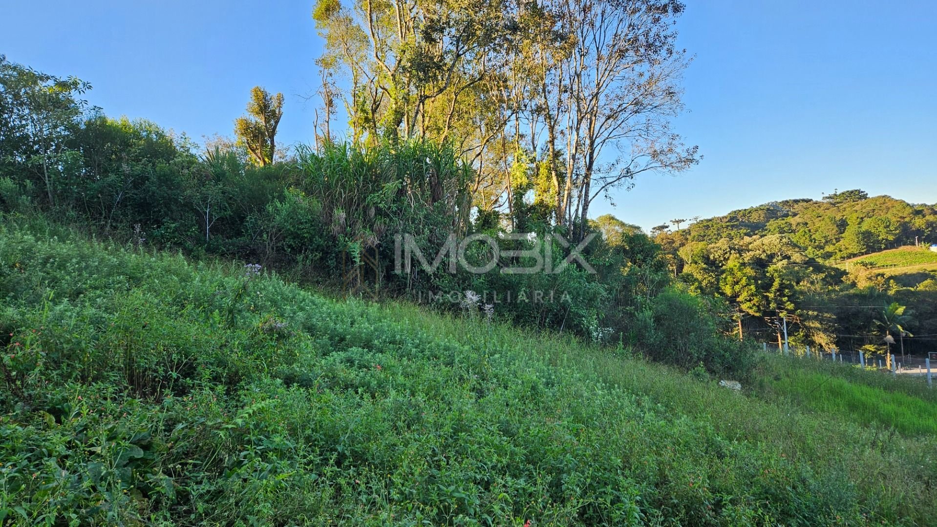 Chácara à venda, 10975 m  frente para o asfalto por R  450.000...