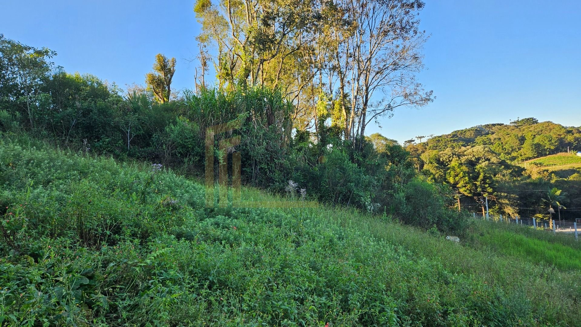 Chácara 10.500m  em Araucária com bosque, área de plantio e vi...