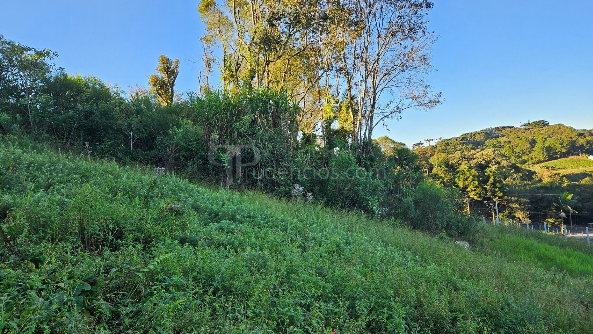Chácara 10.500m  em Araucária com bosque, área de plantio e vi...