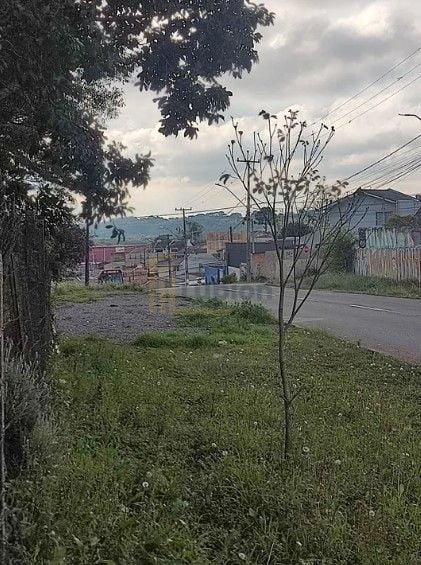 Terreno à venda, 2793 m  por R  990.000,00 - Iguaçu - Fazenda ...